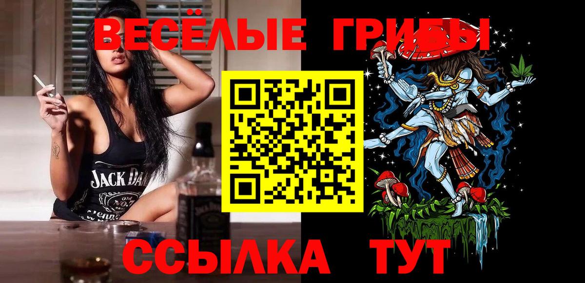 где продают   Вход с VPN  Южно-Сахалинск  Галлюциногенные грибы Cubensis 